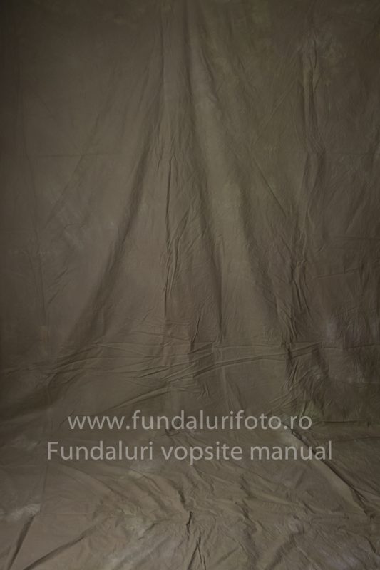Fundaluri foto Rafa