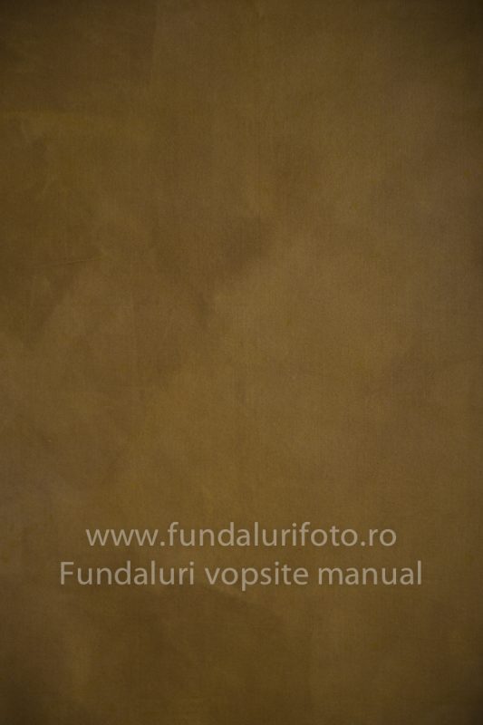 Fundaluri foto Rafa