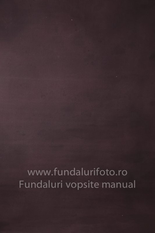 Fundaluri foto Rafa