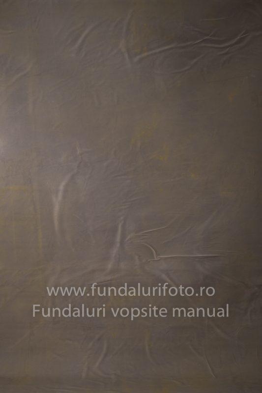 Fundaluri foto Rafa