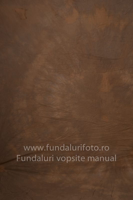 Fundaluri foto Rafa