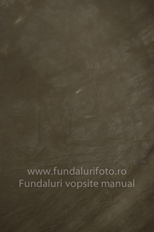 Fundaluri foto Rafa