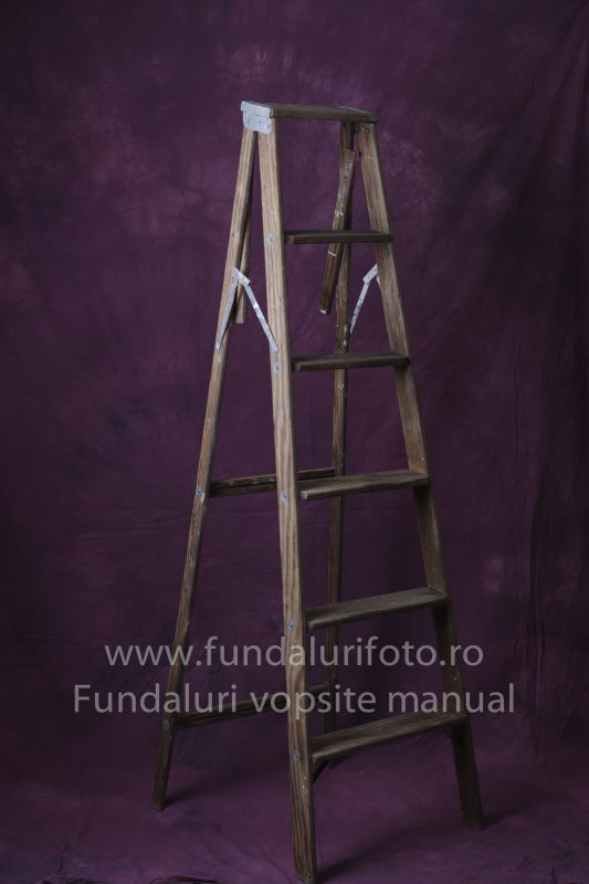 Fundaluri foto Rafa