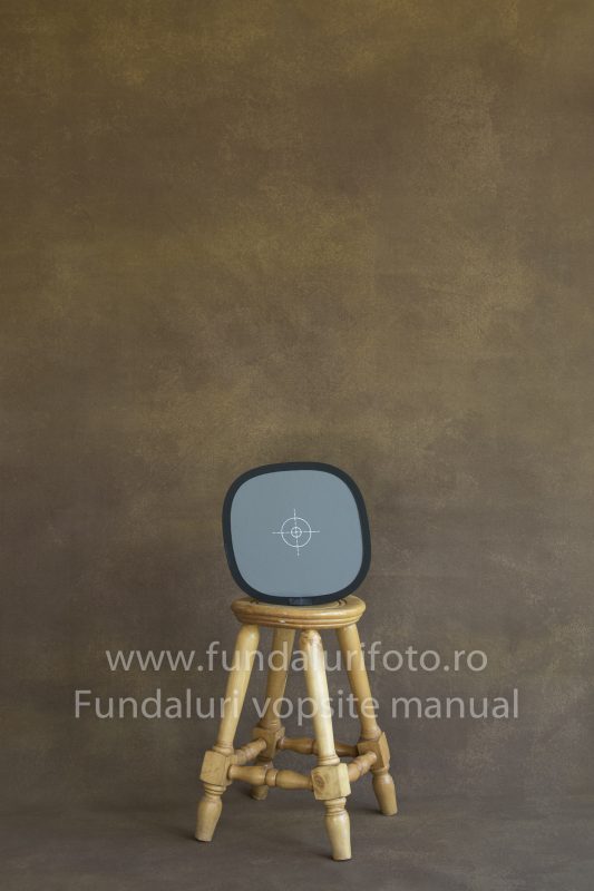 Fundaluri foto Rafa