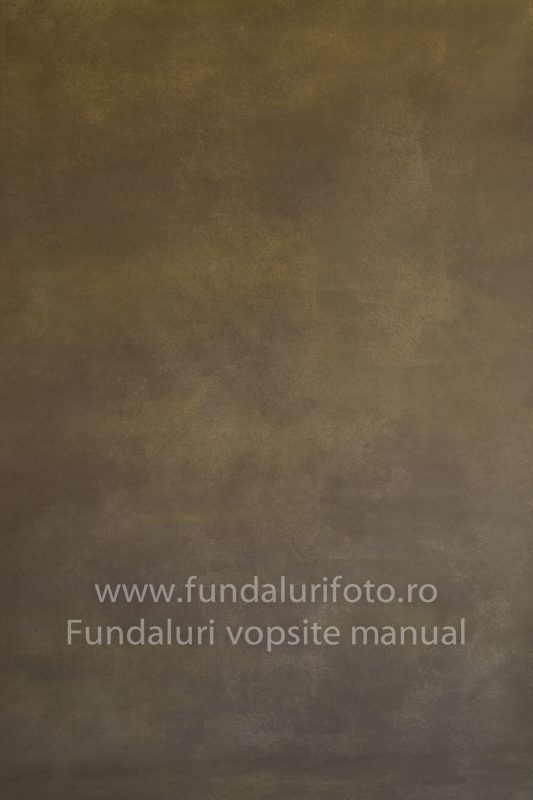 Fundaluri foto Rafa