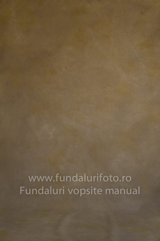 Fundaluri foto Rafa