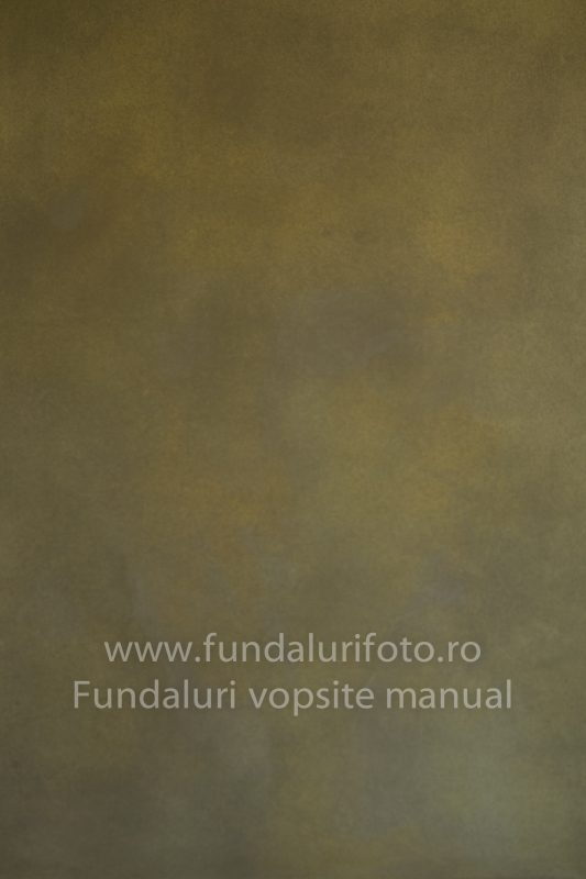 Fundaluri foto Rafa