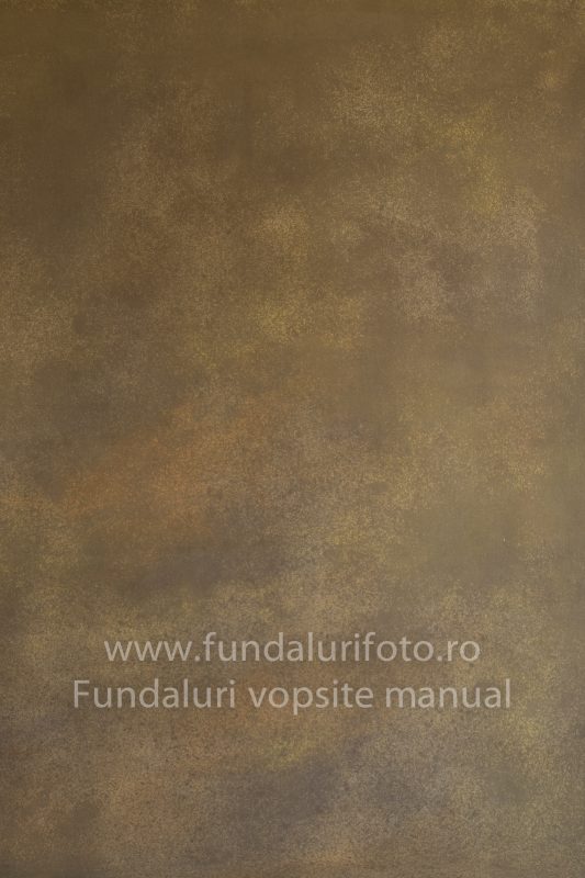 Fundaluri foto Rafa