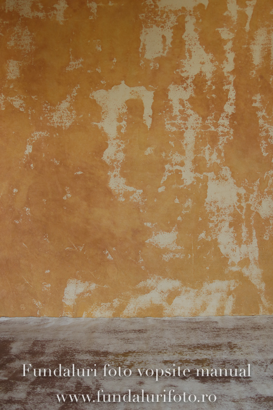Fundal foto vopsit manual premium 578 + podea - Image 4