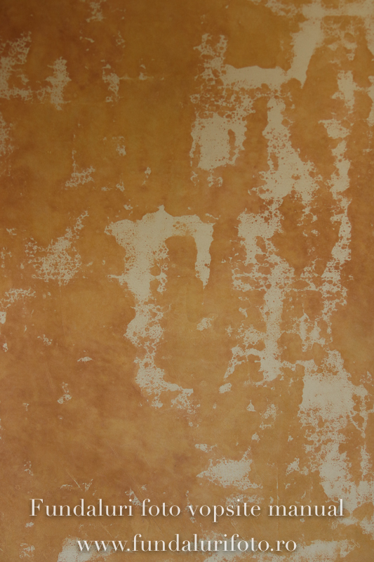 Fundal foto vopsit manual premium 578 + podea - Image 5