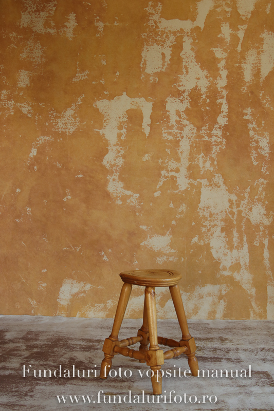 Fundal foto vopsit manual premium 578 + podea - Image 6