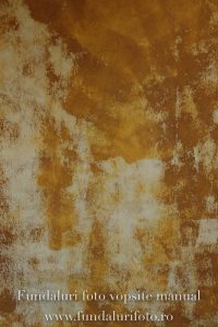 Fundal podea P21 - Image 2