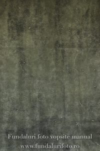 Fundal foto vopsit manual - m 73