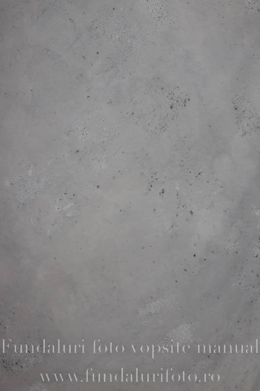 Fundal foto vopsit manual premium 587