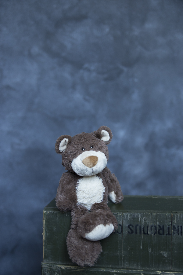 1Fundal foto vopsit manual canvas fundaluri foto Rafa-8693