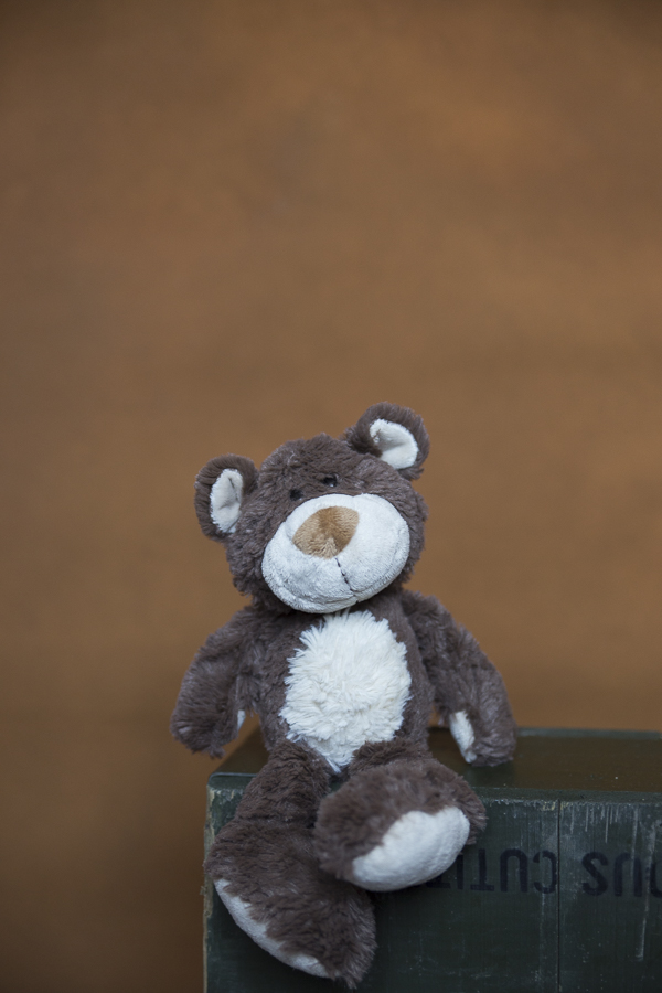 Fundal foto vopsit manual canvas fundaluri foto Rafa-8690