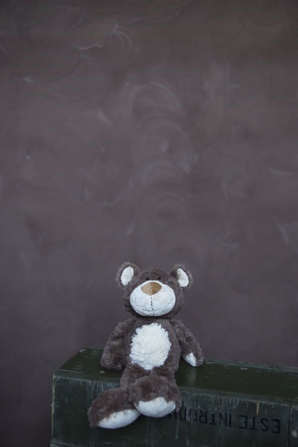 Fundal foto vopsit manual canvas fundaluri foto Rafa-8695