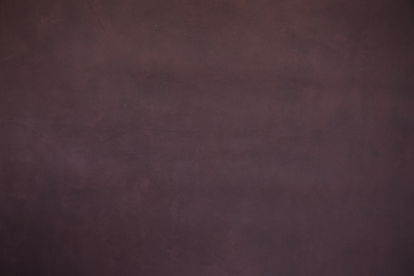 Fundal foto vopsit manual canvas fundaluri foto Rafa-8696