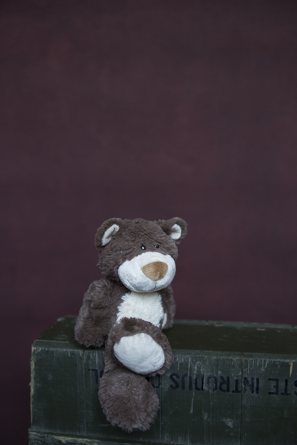 Fundal foto vopsit manual canvas fundaluri foto Rafa-8697