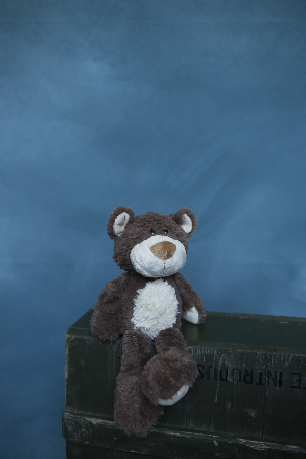 Fundal foto vopsit manual canvas fundaluri foto Rafa-8700