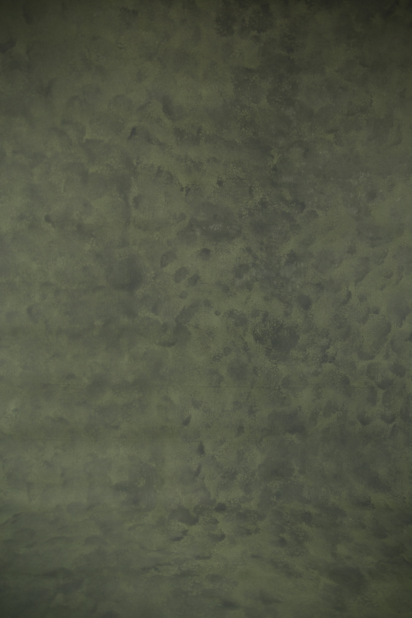 Fundal foto vopsit manual canvas textil web-9791