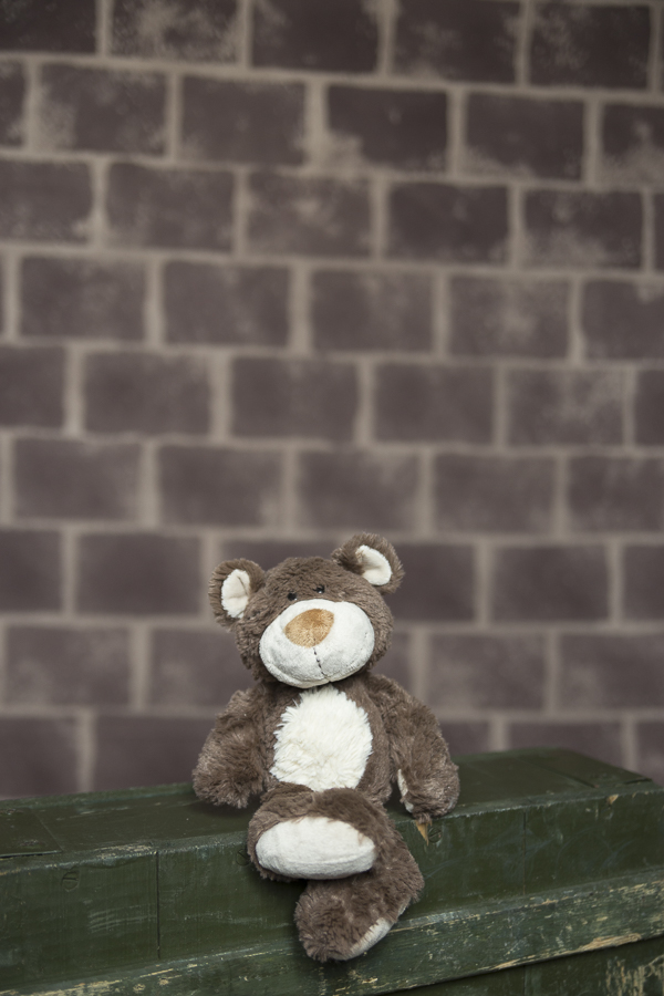 Fundal foto vopsit manual canvas textil web-9797