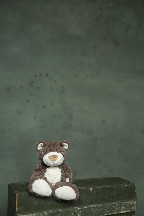 Fundal foto vopsit manual canvas textil web-9804