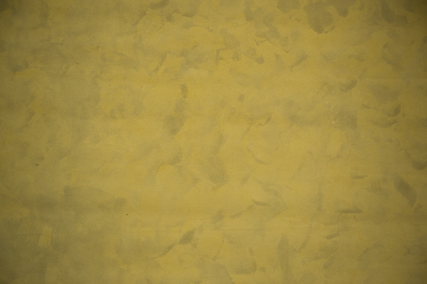 Fundal foto vopsit manual canvas textil web-9807