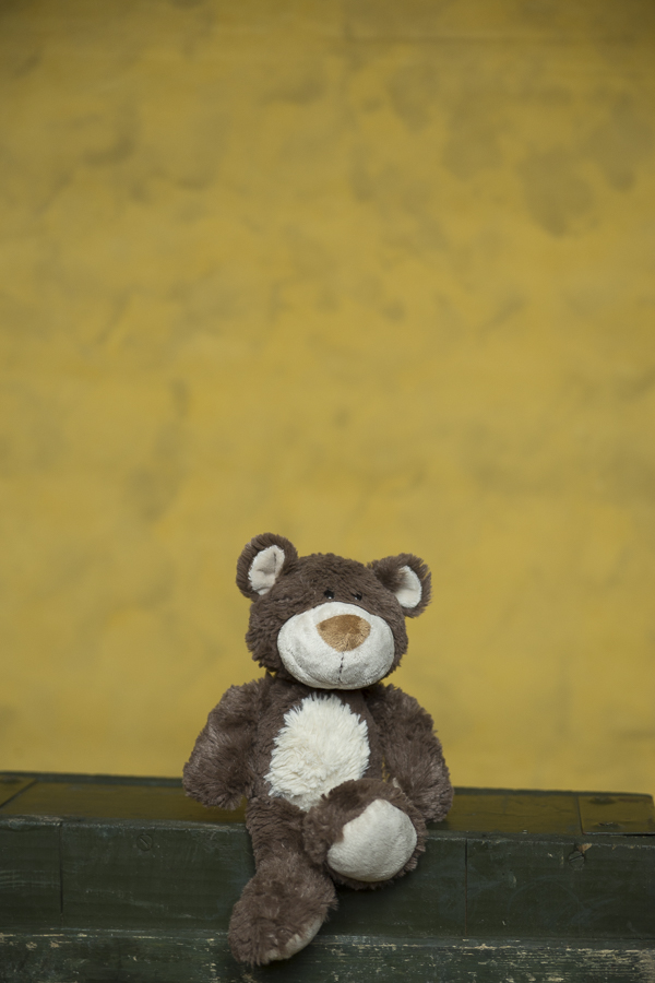 Fundal foto vopsit manual canvas textil web-9810