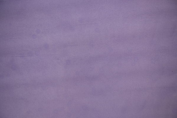 Fundal foto vopsit manual canvas textil web-9811