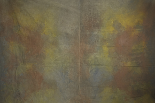 Fundal foto vopsit manual canvas textil webmare-0343