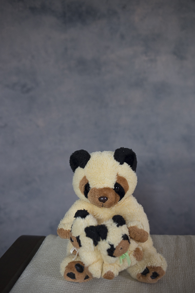 Fundaluri foto Rafa vopsit pe canvas