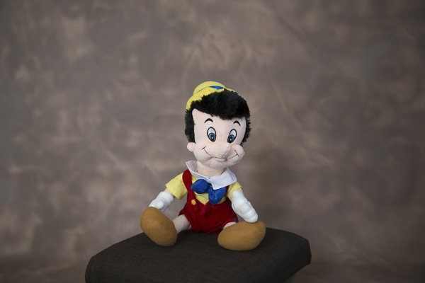 Fundaluri foto Rafa vopsit pe canvas