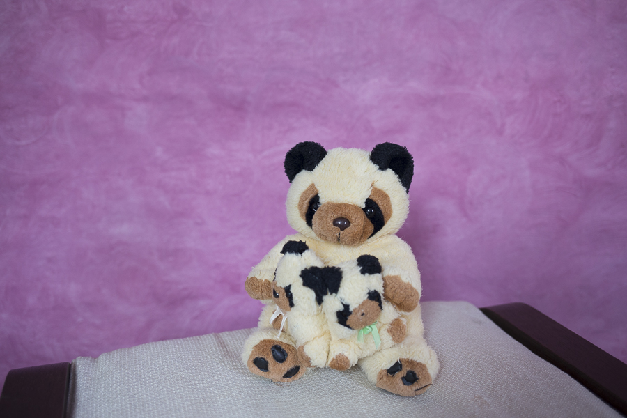 Fundaluri foto Rafa 1,52*2,5m