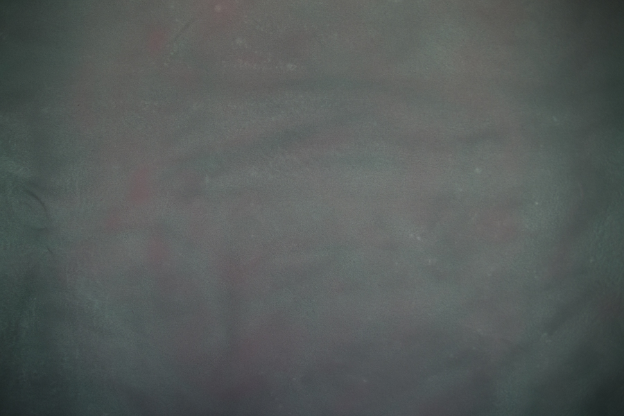 Fundal foto pentru portret