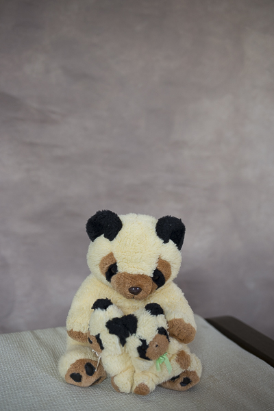 Fundaluri foto Rafa 1,52*2,5m