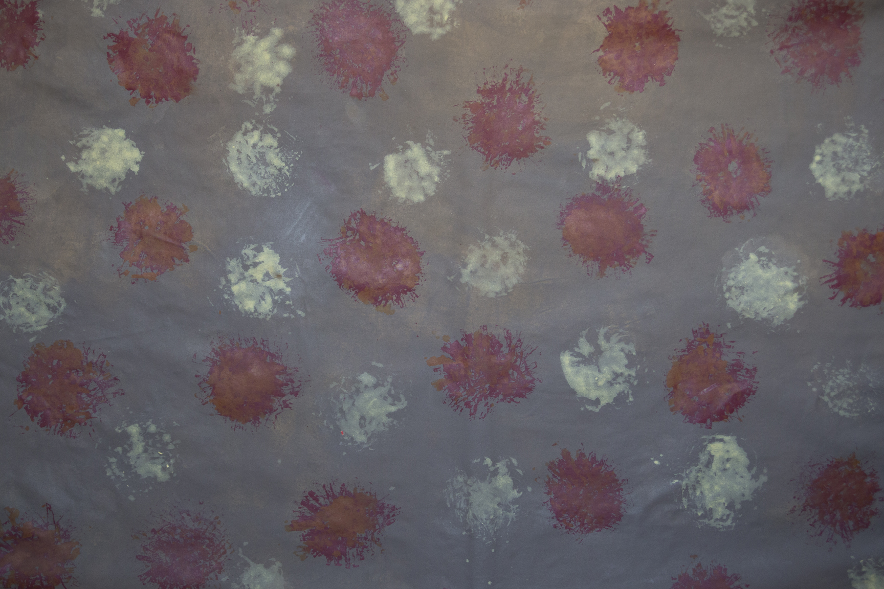 Fundal foto pentru studio