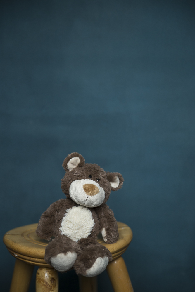 fundal foto vopsit manual canvas