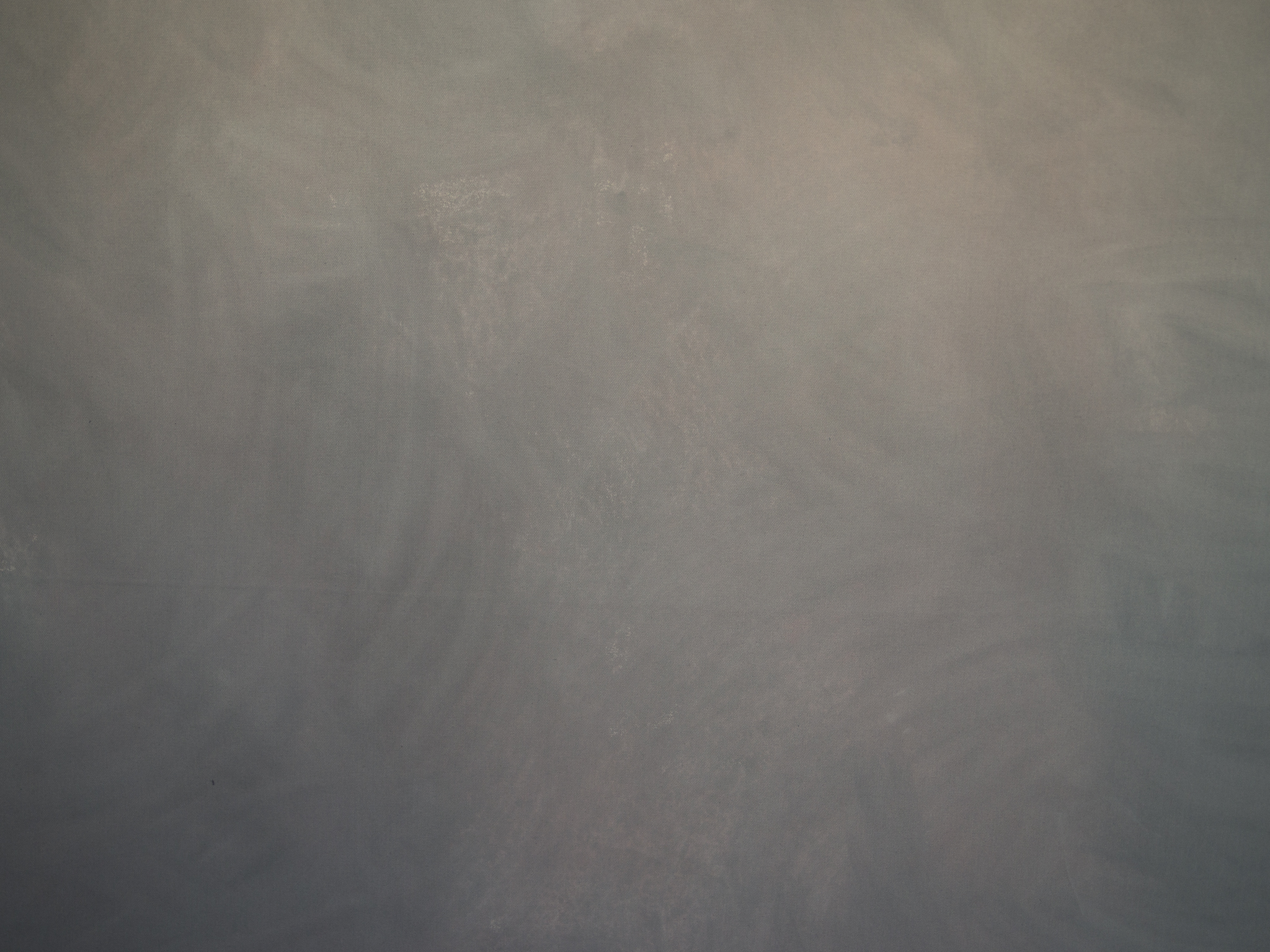 fundal foto canvas pictat manual