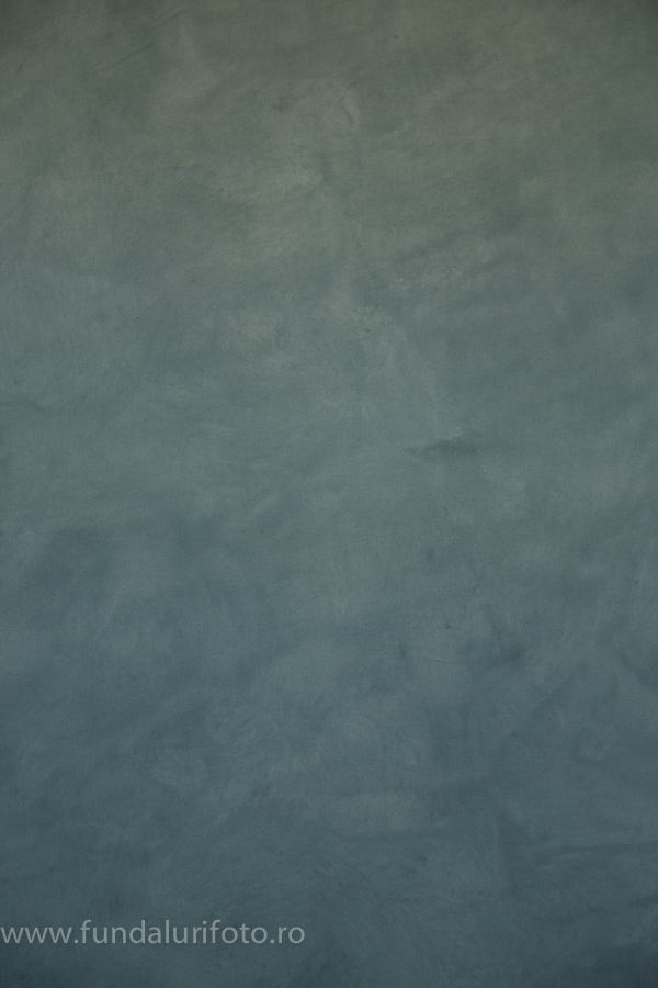 fundal foto canvas vopsit manual