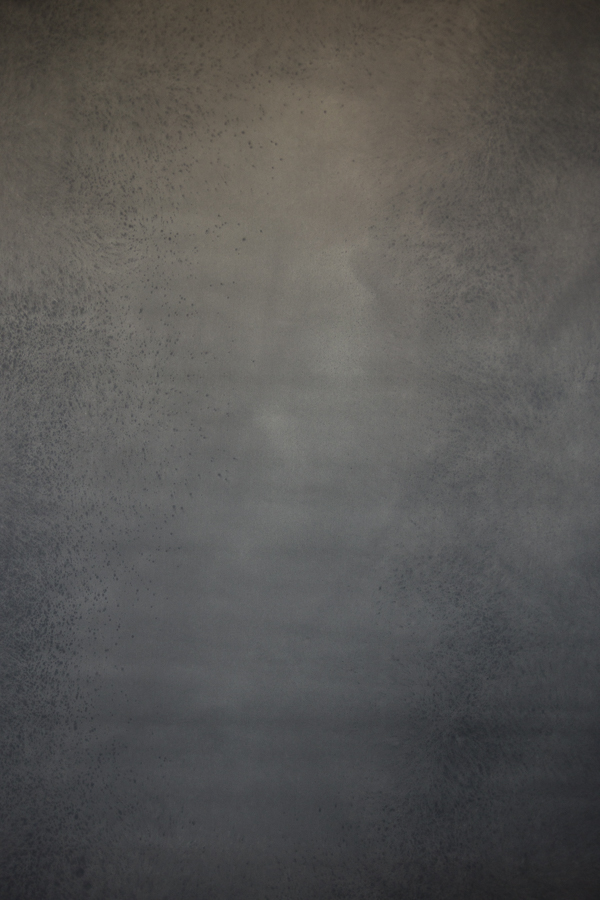 fundal foto vopsit manual canvas-9048