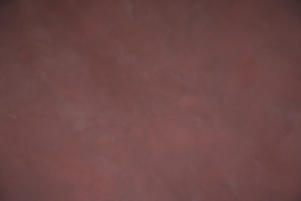 fundal foto vopsit manual canvas-9059