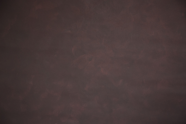 fundal foto vopsit manual canvas-9067