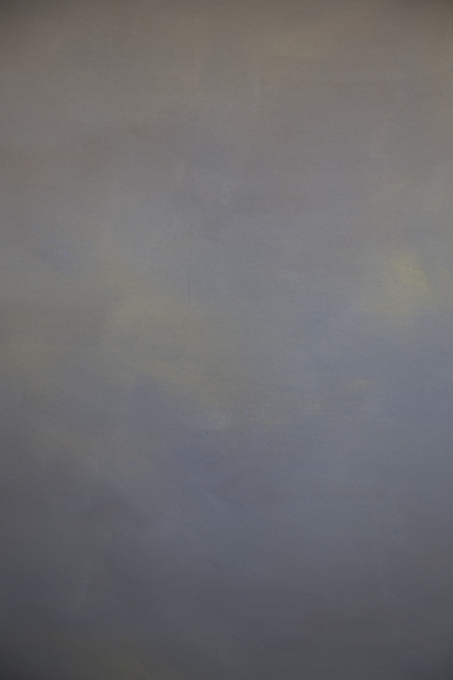 fundal foto vopsit manual canvas-9756