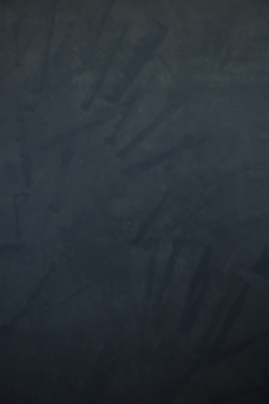 fundal foto vopsit manual canvas-9763