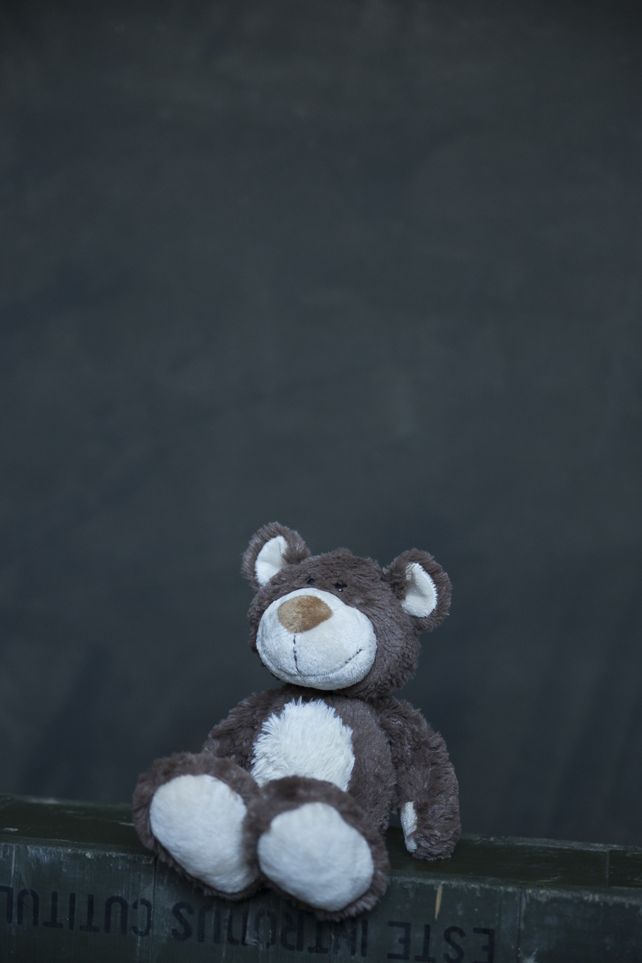 fundal foto vopsit manual canvas-9764