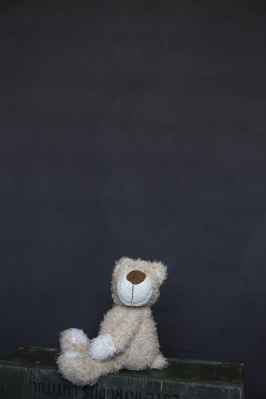 fundal foto vopsit manual canvas-9771