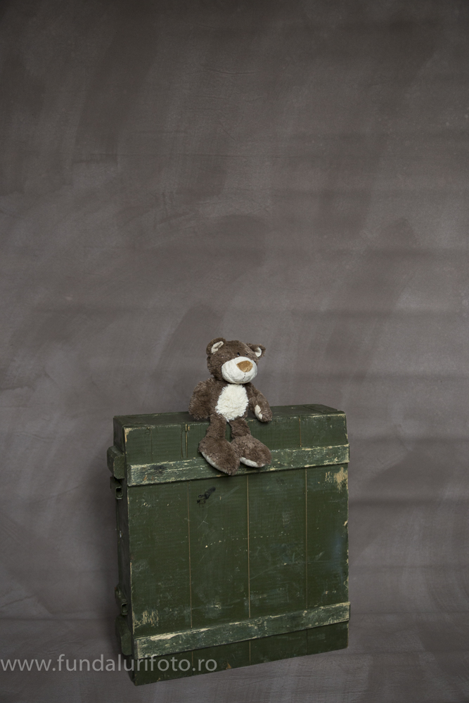 fundal foto vopsit manual canvas studio foto10