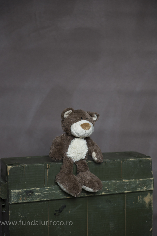 fundal foto vopsit manual canvas studio foto11