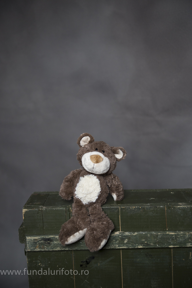 fundal foto vopsit manual canvas studio foto15